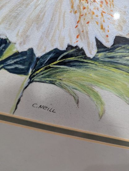 "Daisies" by C Neill - Image 4