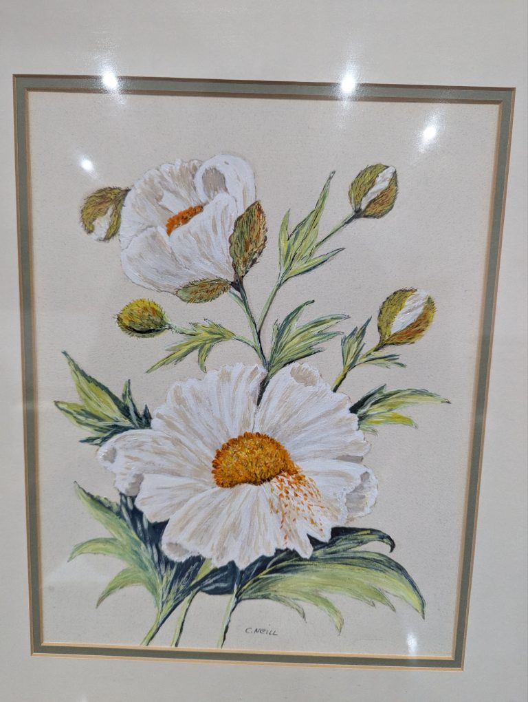 "Daisies" by C Neill - Image 3