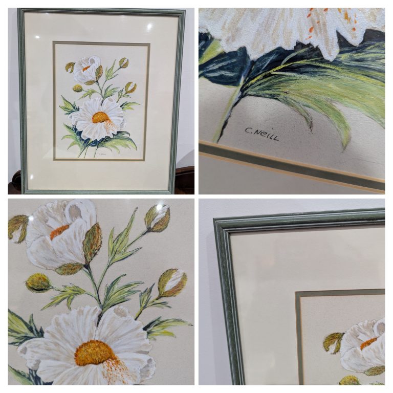 "Daisies" by C Neill