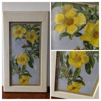 "Mandevilla Bloom Bells" by DV Cowan